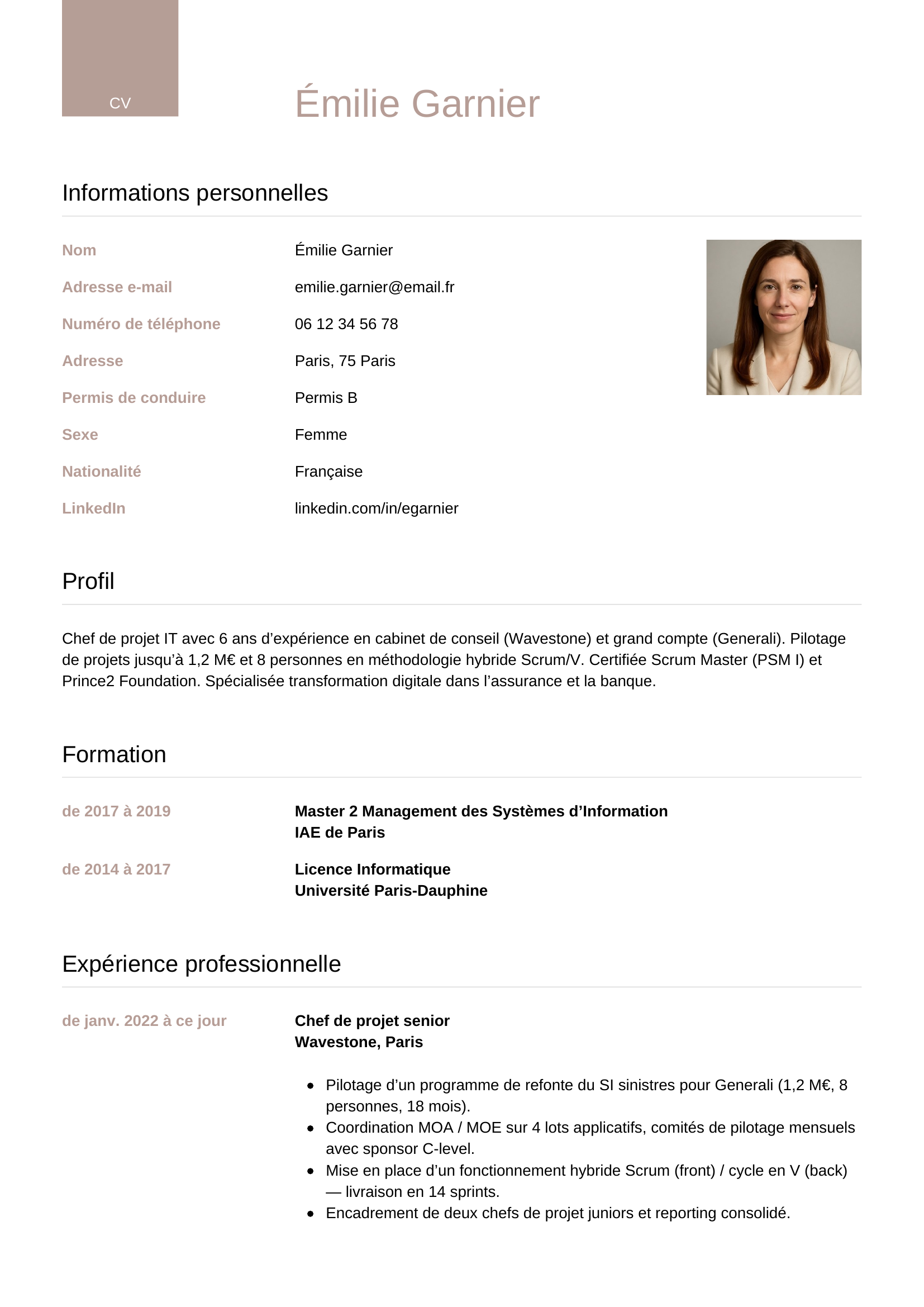 Modèle Luxe — exemple de CV Chef de projet