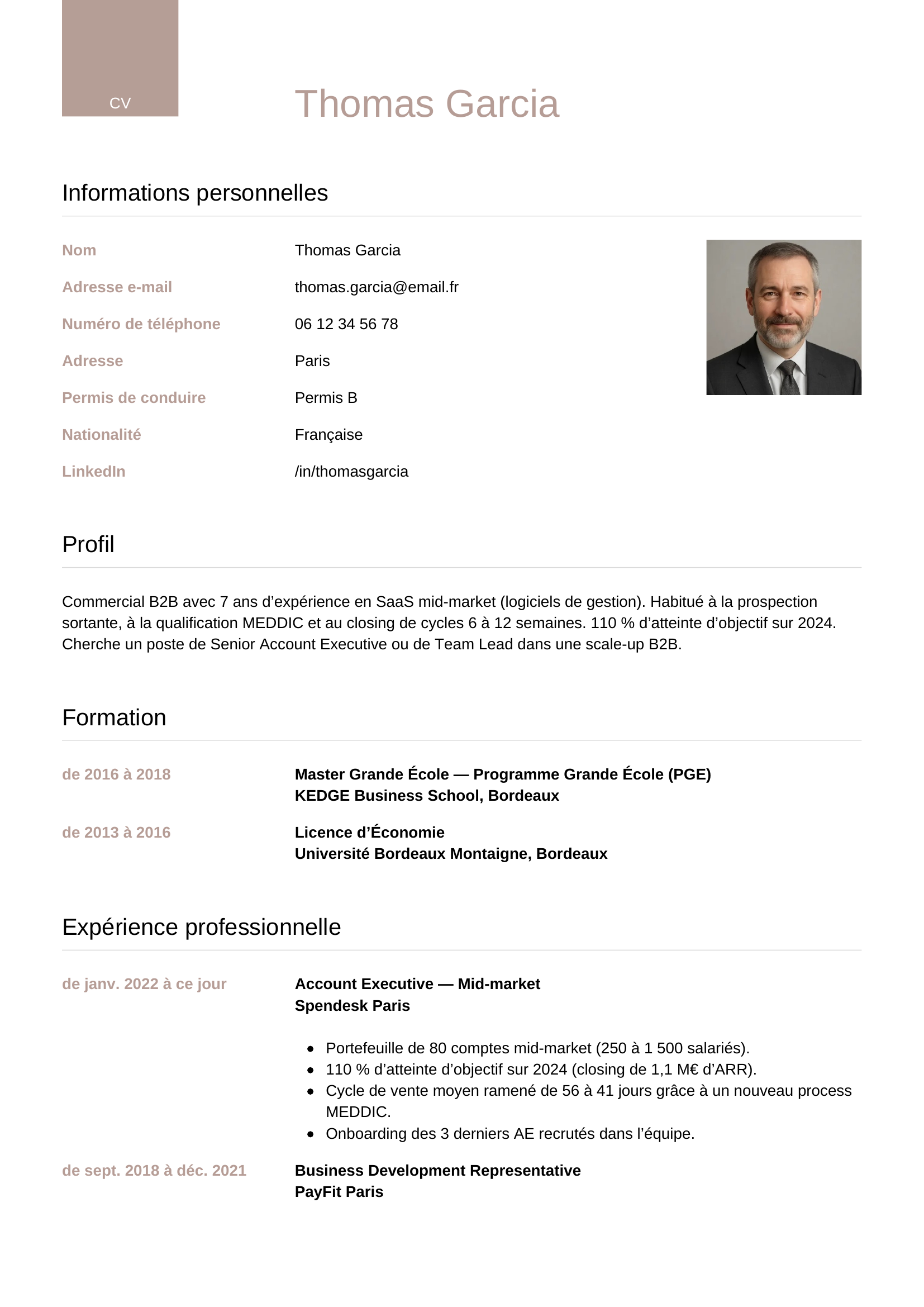 Modèle Luxe — exemple de CV Commercial